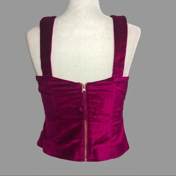 🧡 0 🧡 NWT Anthro Top Tank Bustier Velvet Cropped Sexy - Picture 2 of 6